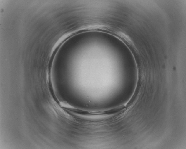 X0000071851420200606301326