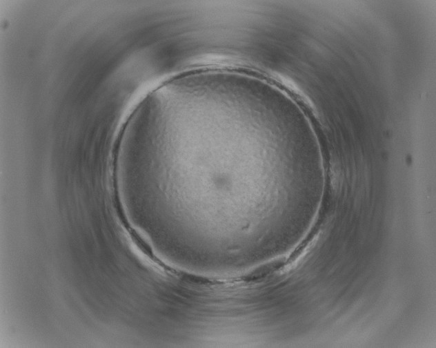 X0000071851421200606301326