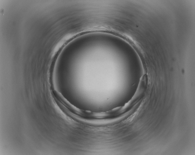 X0000071851422200606301326