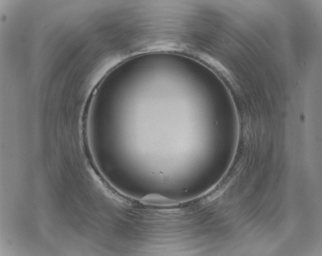 X0000071851423200606301326