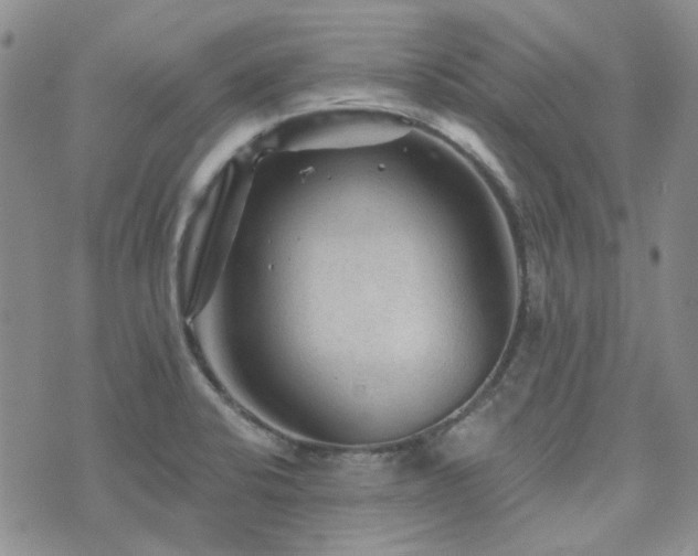 X0000071851424200606301326