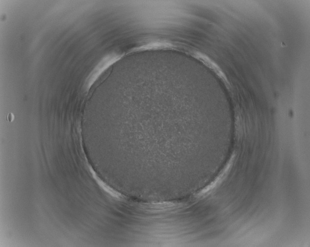 X0000071851425200606301326