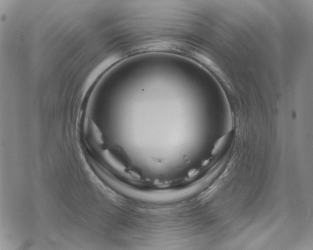 X0000071851426200606301326