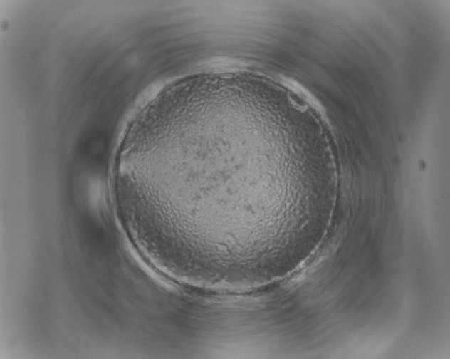 X0000071851429200606301326