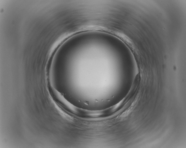 X0000071851430200606301326