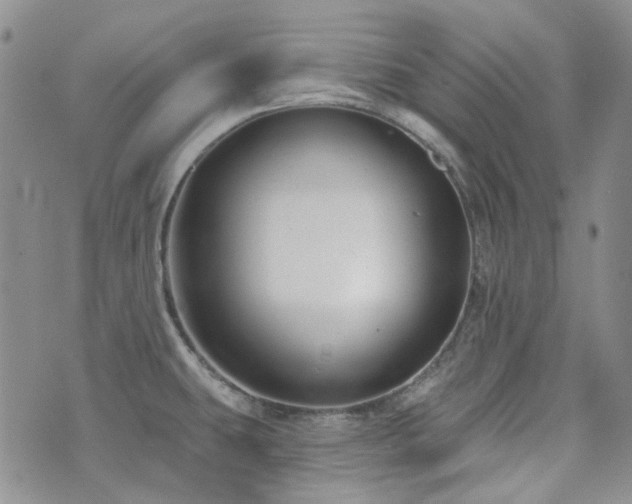 X0000071851431200606301326