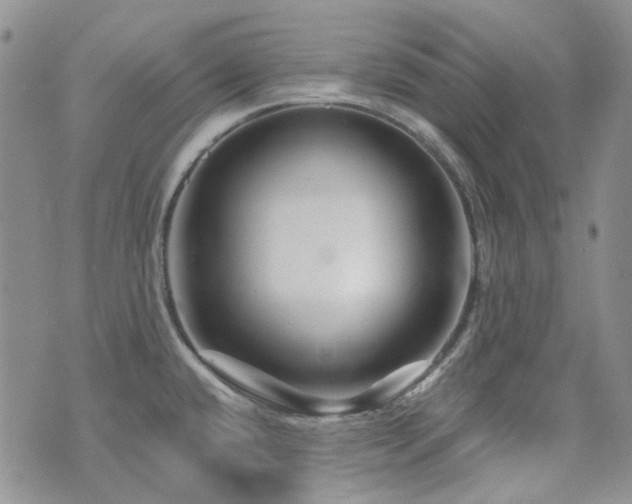 X0000071851432200606301326