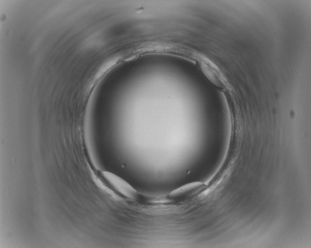 X0000071851433200606301326