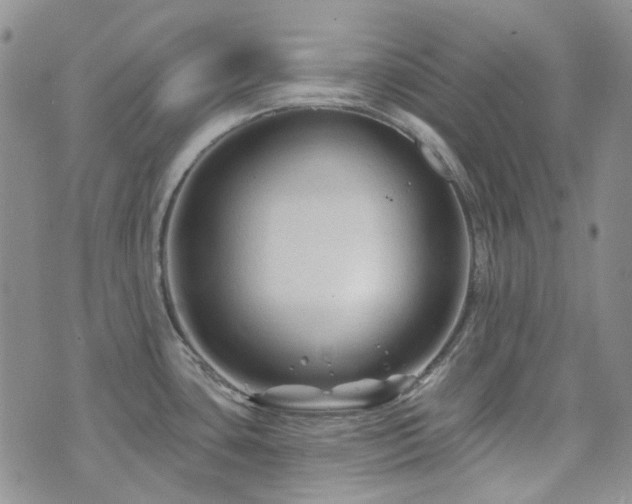 X0000071851435200606301326