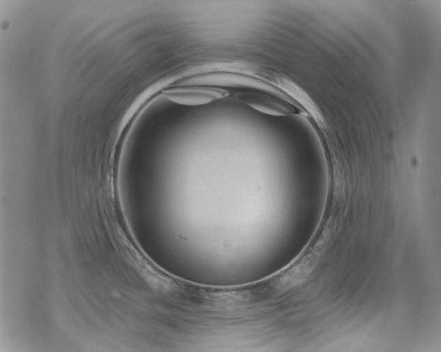 X0000071851436200606301326