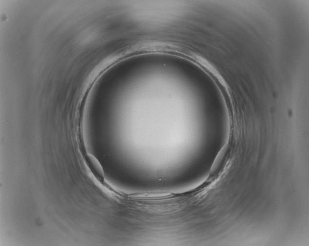 X0000071851437200606301326