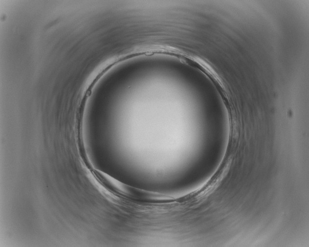 X0000071851438200606301326