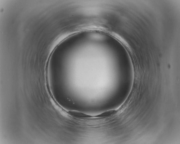 X0000071851439200606301326