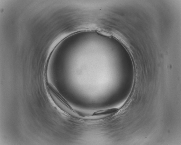 X0000071851440200606301326