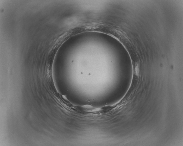 X0000071851444200606301325