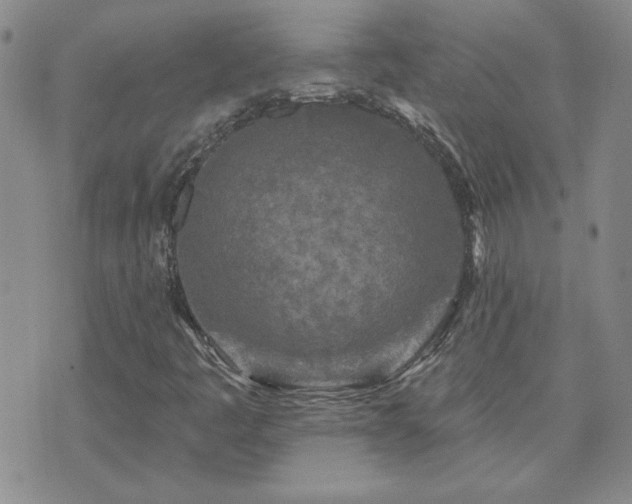 X0000071851445200606301325