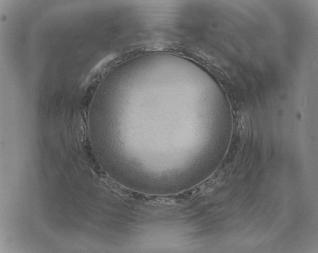 X0000071851446200606301325