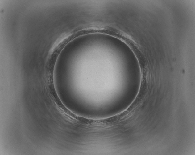 X0000071851448200606301325