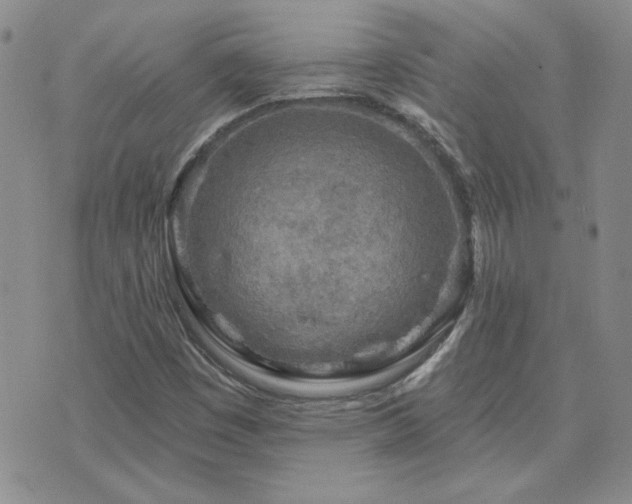 X0000071851449200606301325