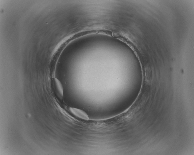 X0000071851452200606301325