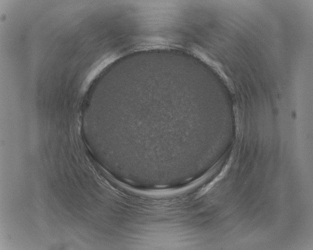 X0000071851453200606301325