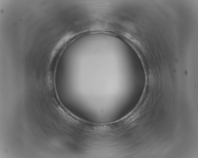 X0000071851454200606301325