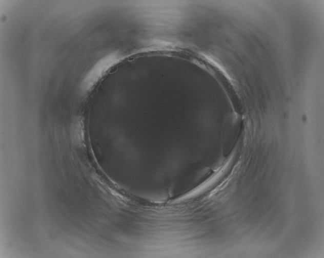 X0000071851455200606301325