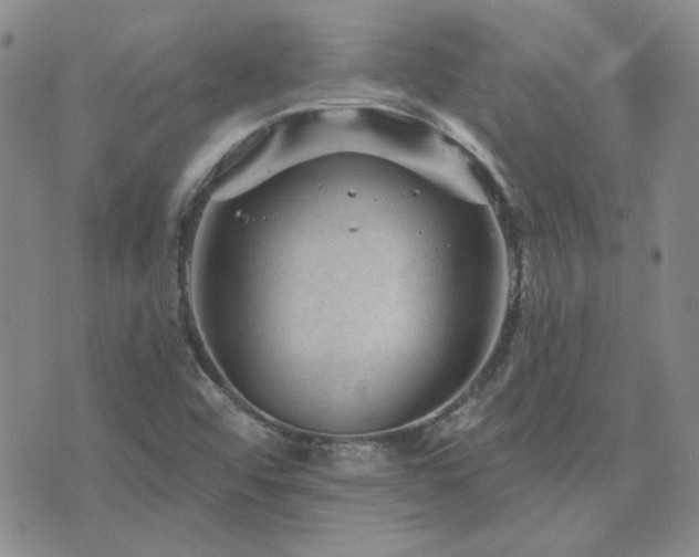 X0000071851456200606301325