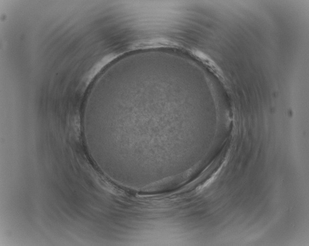 X0000071851457200606301325