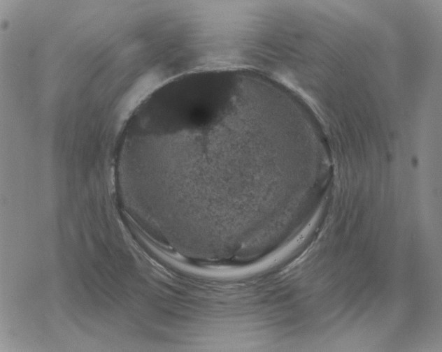 X0000071851459200606301325