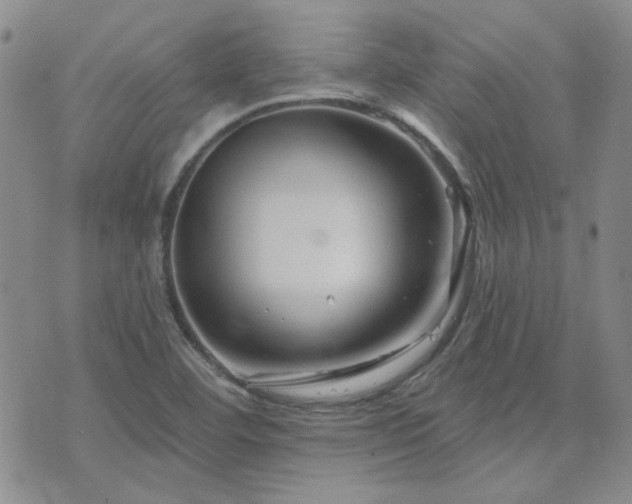 X0000071851460200606301325