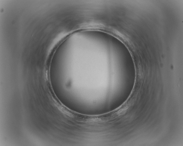 X0000071851462200606301325