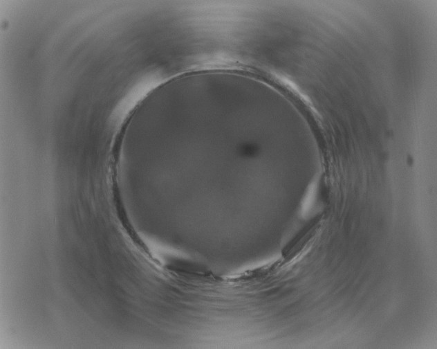 X0000071851463200606301325