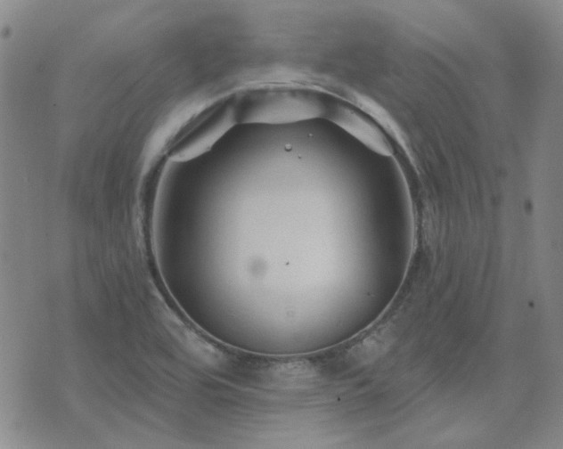 X0000071851464200606301325