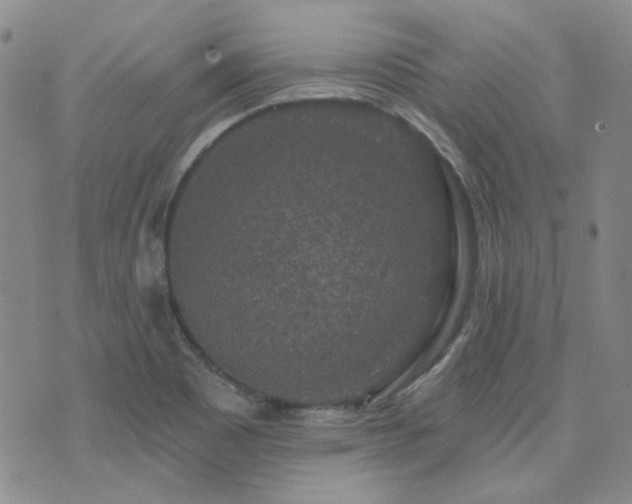 X0000071851465200606301325