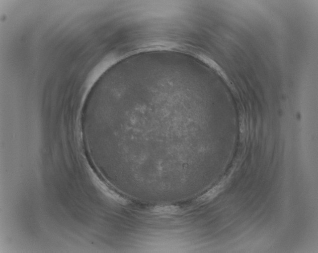 X0000071851466200606301325