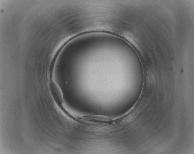 X0000071851468200606301325