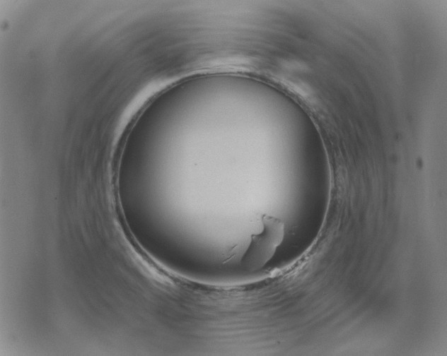 X0000071851470200606301325