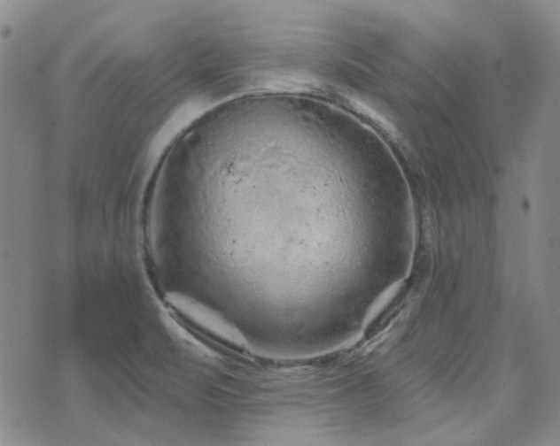 X0000071851471200606301325