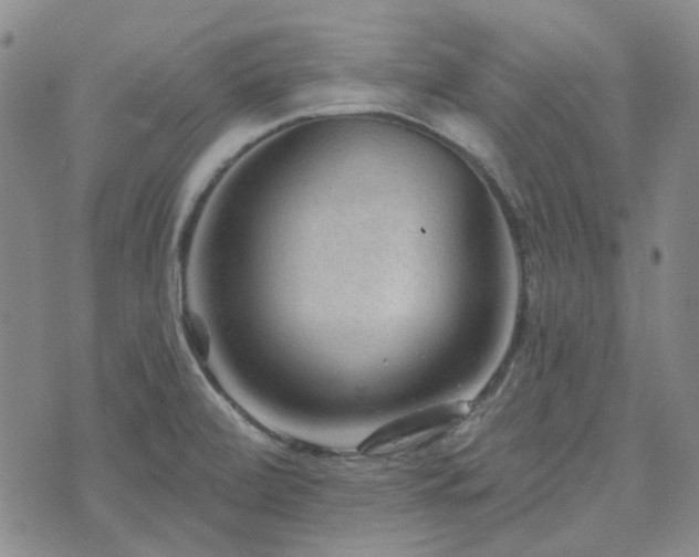 X0000071851472200606301325