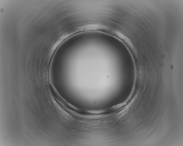 X0000071851473200606301325