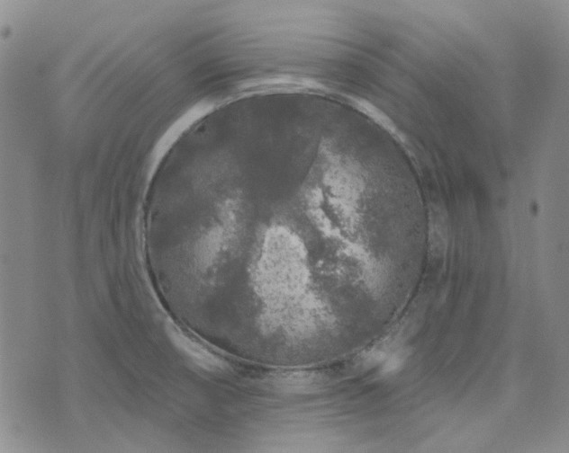 X0000071851474200606301325