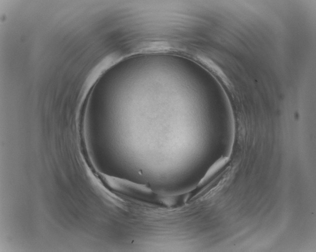 X0000071851475200606301325