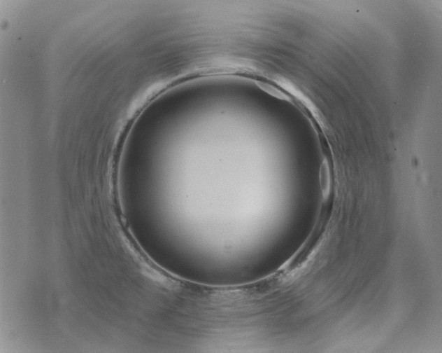 X0000071851477200606301325