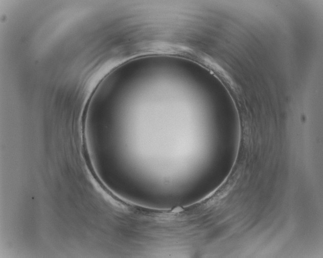 X0000071851479200606301325