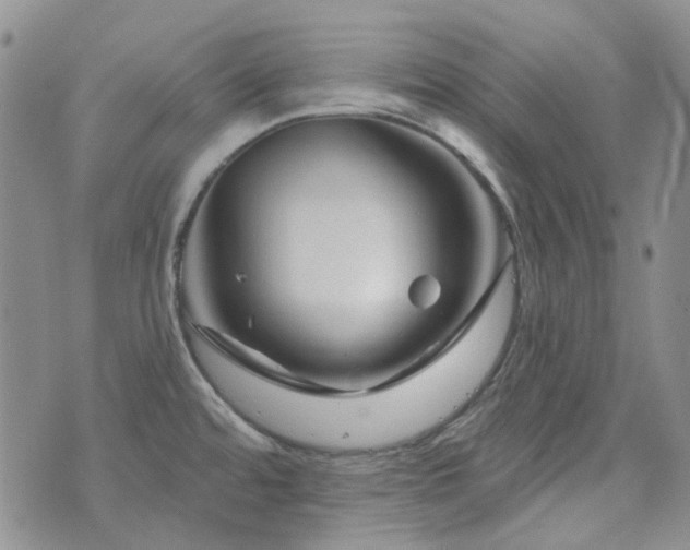 X0000071851480200606301325