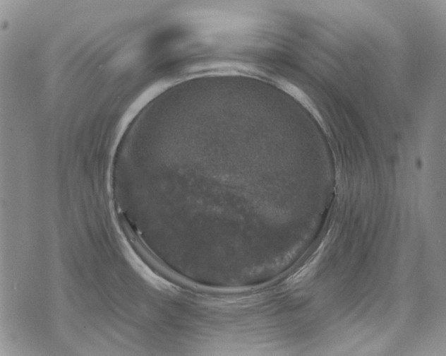 X0000071851482200606301325