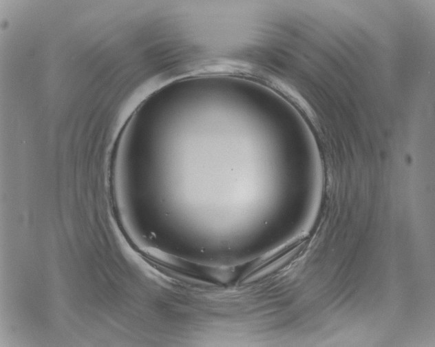 X0000071851483200606301325