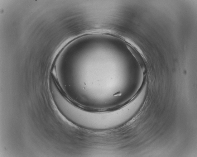 X0000071851484200606301325