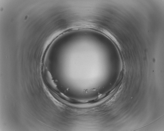 X0000071851485200606301325